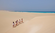 Die Struktur der Insel